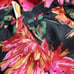 Talbots | Women's Silk Floral Pleated Skirt | 6P