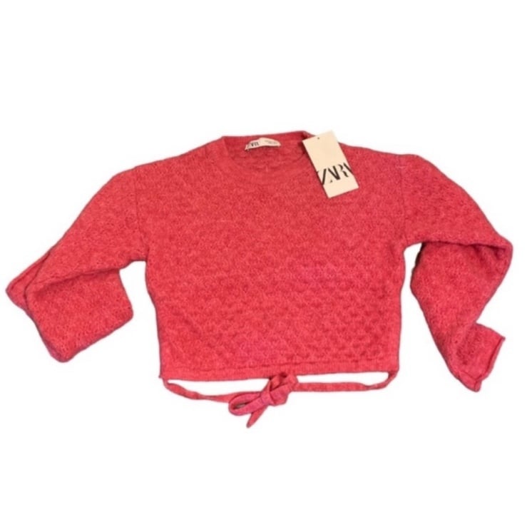 ZARA Pink Sweater Cropped Backless