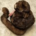 VTG Folkmanis Monkey Furry Folk Full Body 10 Hand Puppet Plush Chimp Toy NWT