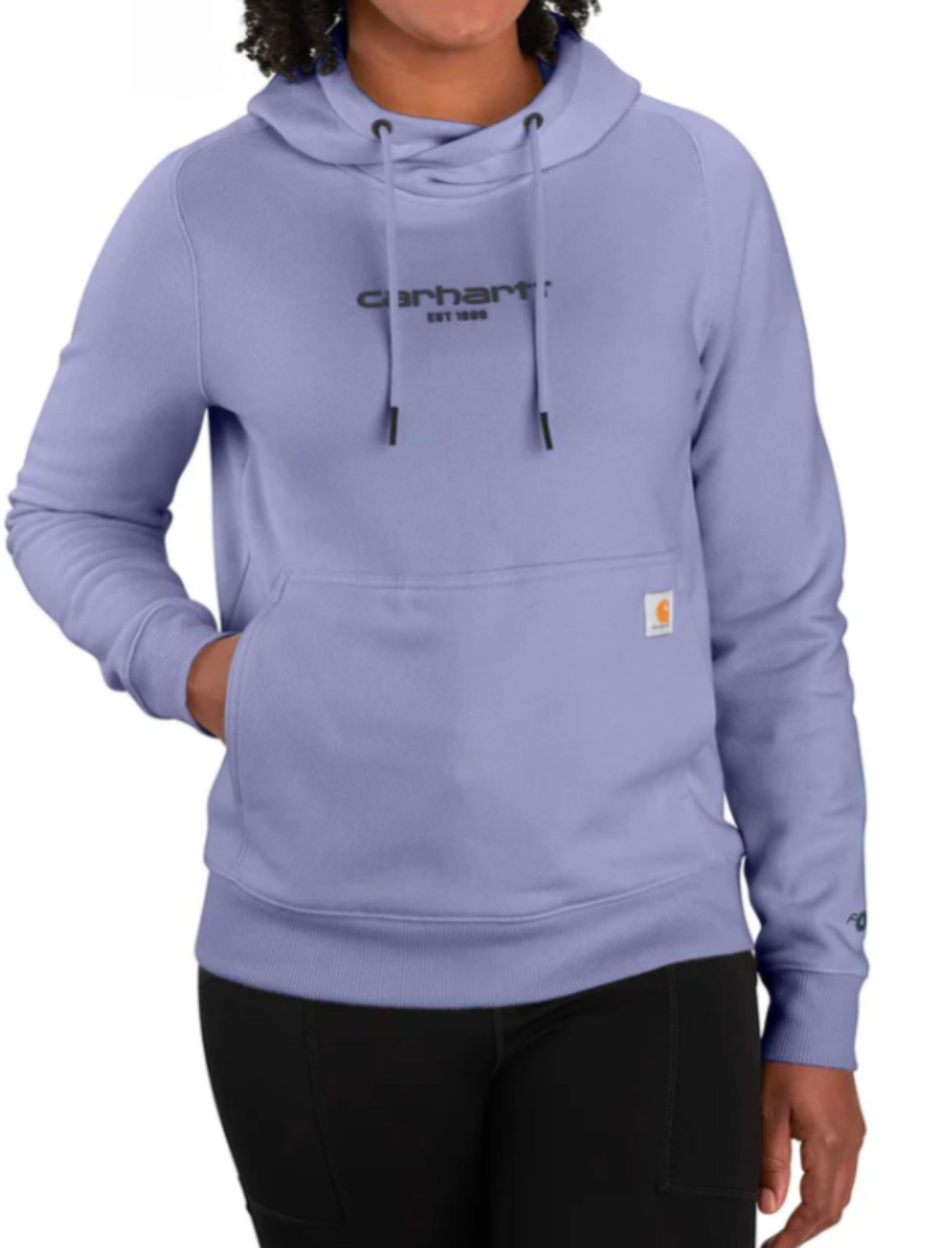 Carhartt Force® Relaxed Fit Lightweight Graphic Hoodie Size L NWOT MSRP $59.99