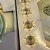 Vtg Napa Valley Home Collection Topiary” - 2 Sets, New in Boxes, Salad Plates