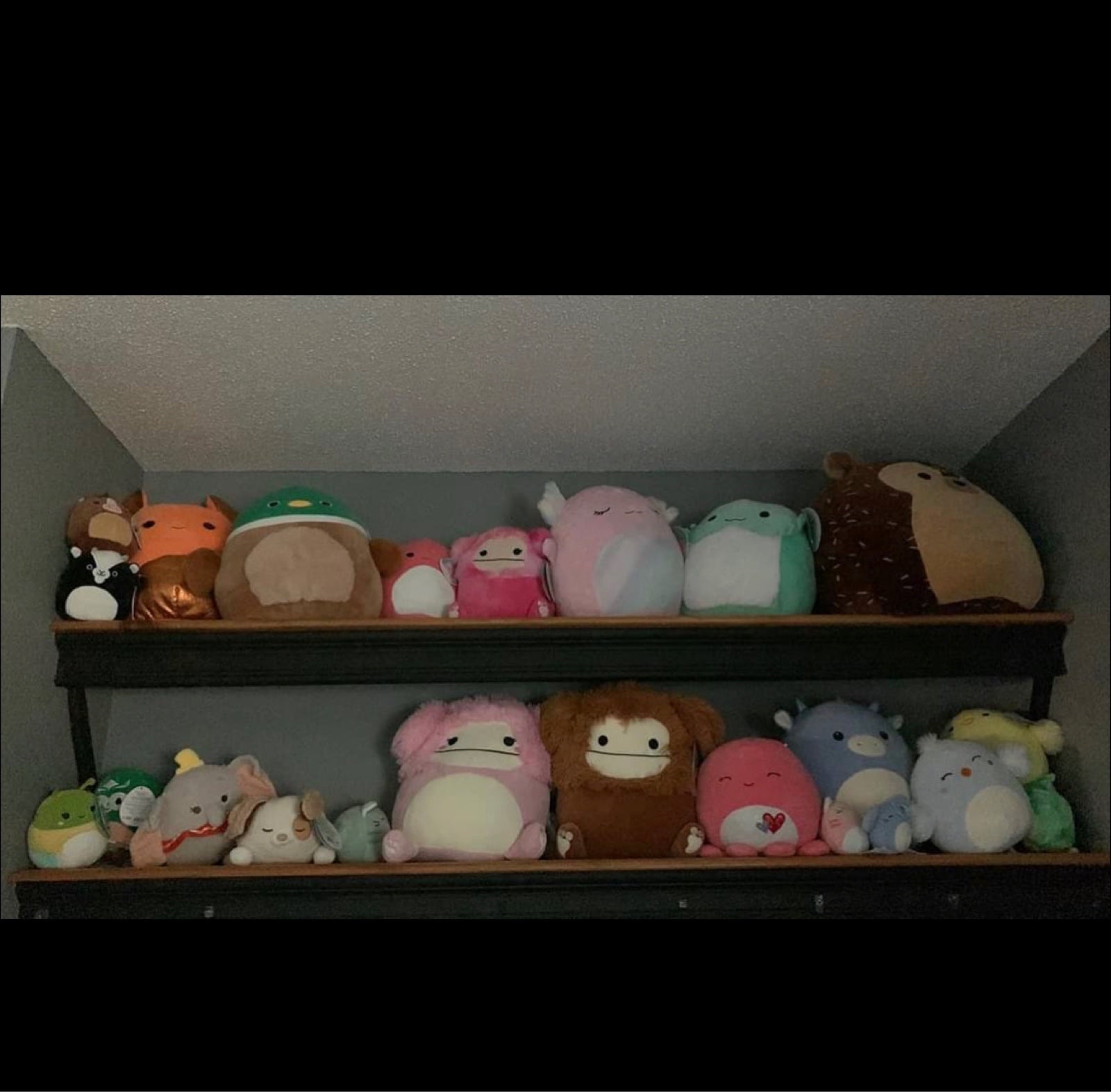 Squishmallow Lot ( can sell separately )