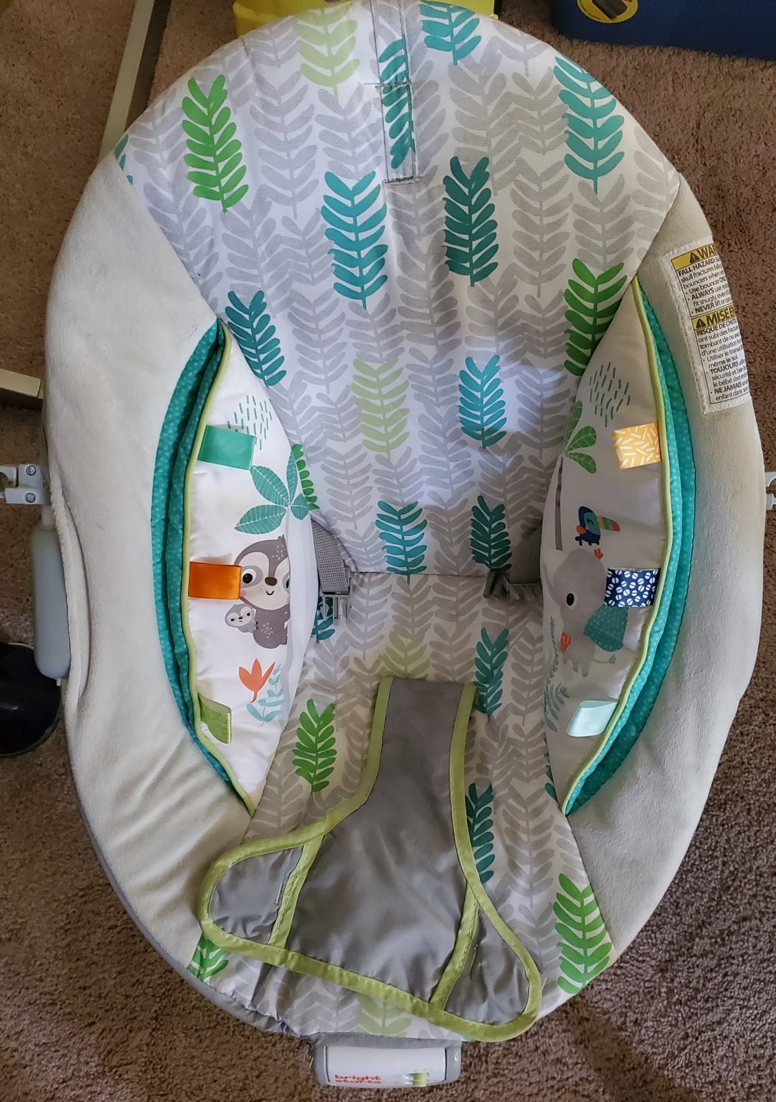Baby Bouncer