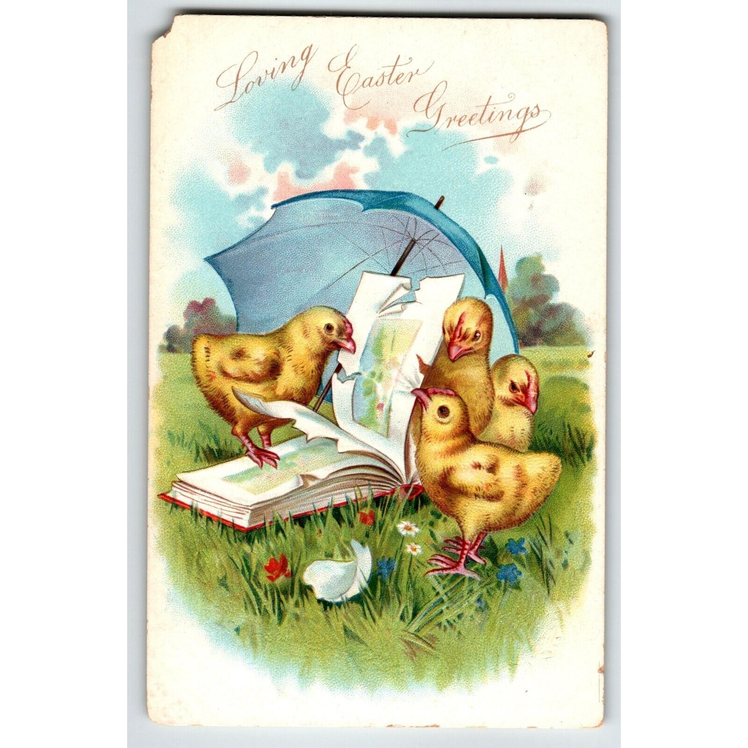 Easter Postcard Tuck Baby Chicks Under Umbrella Read Book Fantasy Germany