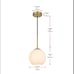 Pendant Globe 8