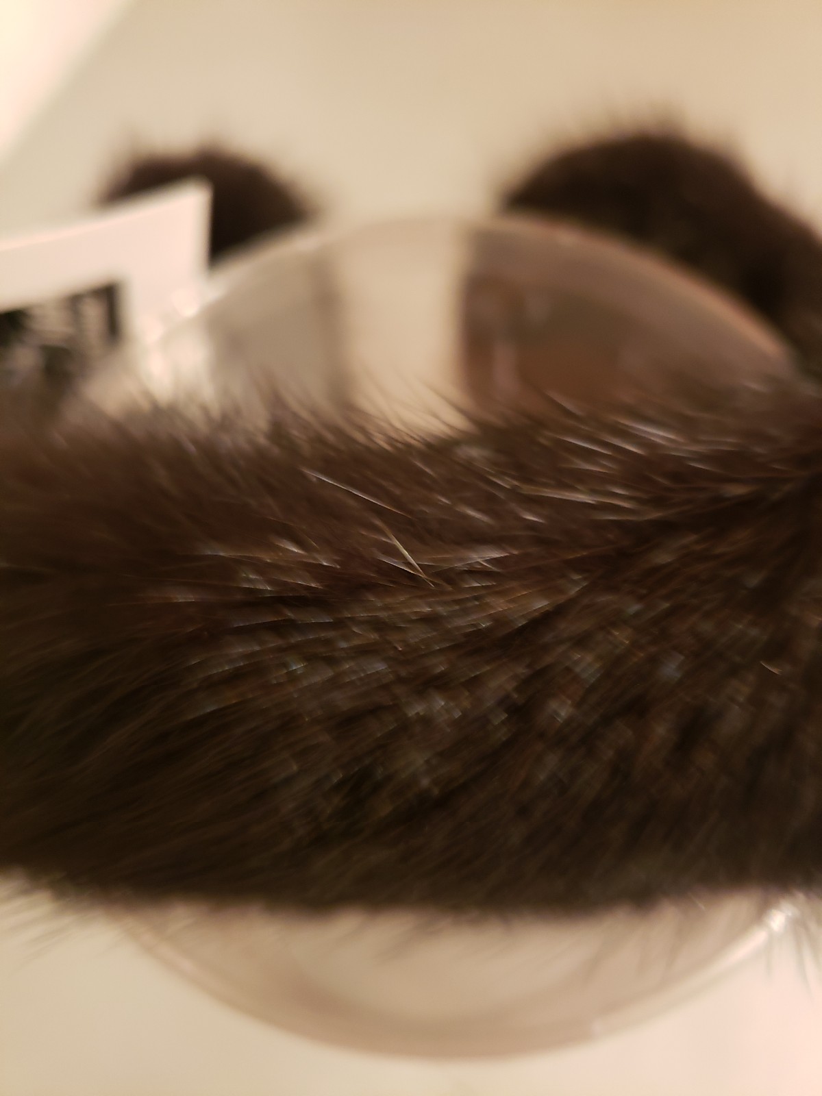Headband