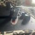 Crosley Cruiser Deluxe w/ Bluetooth & Phono