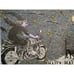 Halloween Postcard Witch On Motorcycle Black Cat Moon Bats Flying Rabbit 1993