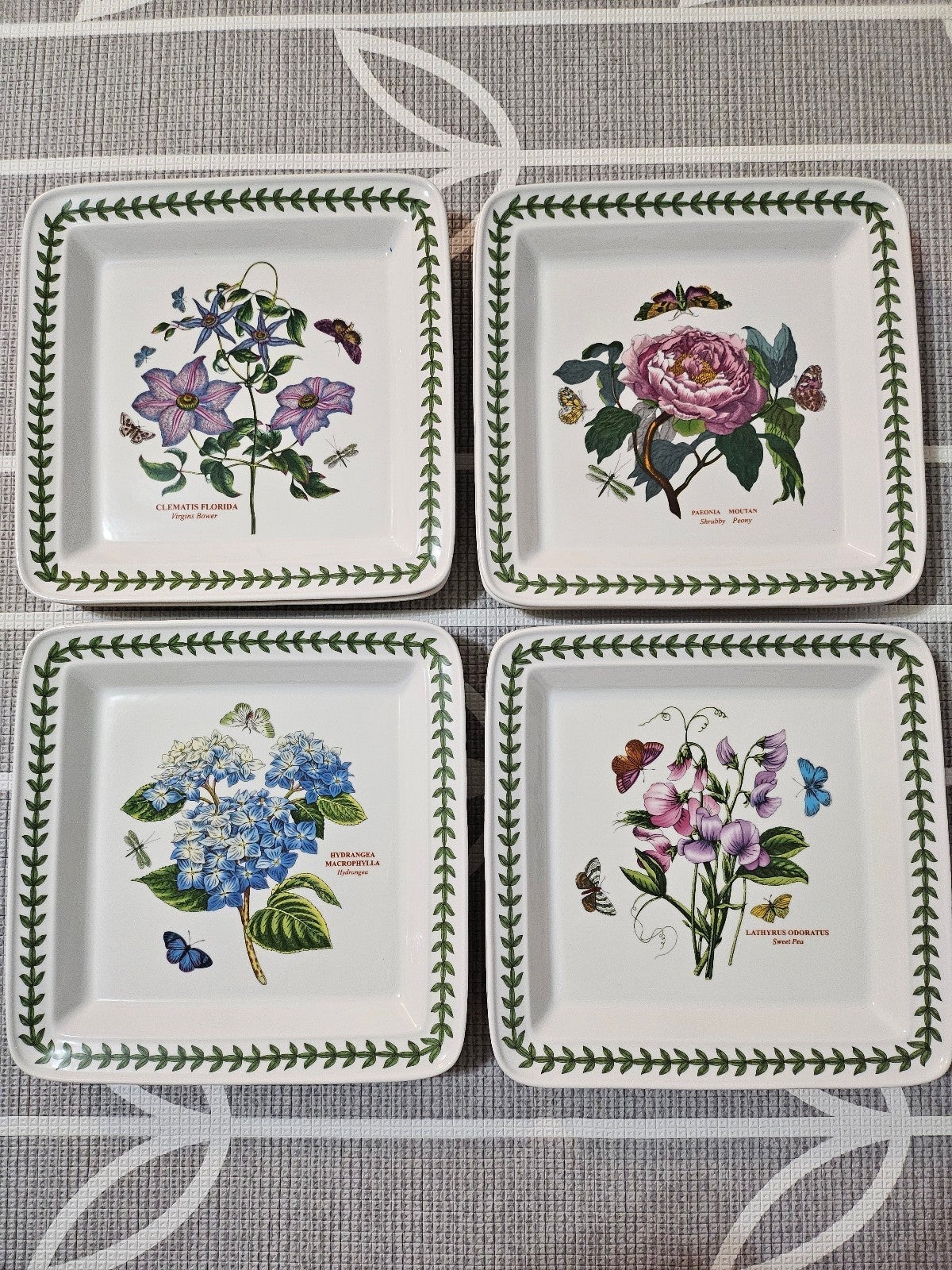 Portmeirion Botanic Garden 10.5 Inch Plate Square