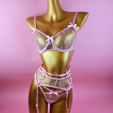 Sexy baby pink lingerie set
