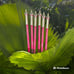 Jeffree Star Velour LipLiner 6 Bundle