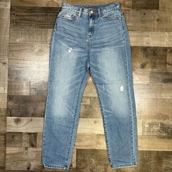 BDG Urban Outfitters Women’s Size 28 Mom High Rise Jeans Blue Medium Wash Denim