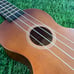 Ukulele