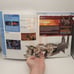Brady Games Lot of 2 Guides Final Fantasy XII Soul Calibur IV