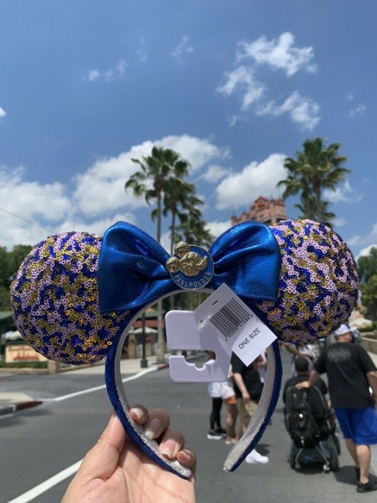 Disney Passholder Set: Ears and Bracelet