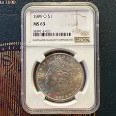 Morgan Silver Dollar