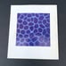 Rosalind Ritchie Recent Works PB 2002 Signed by Artist
