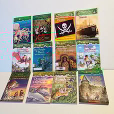 Magic Tree House book bundle of twelve (12) books. Used in fair condition.