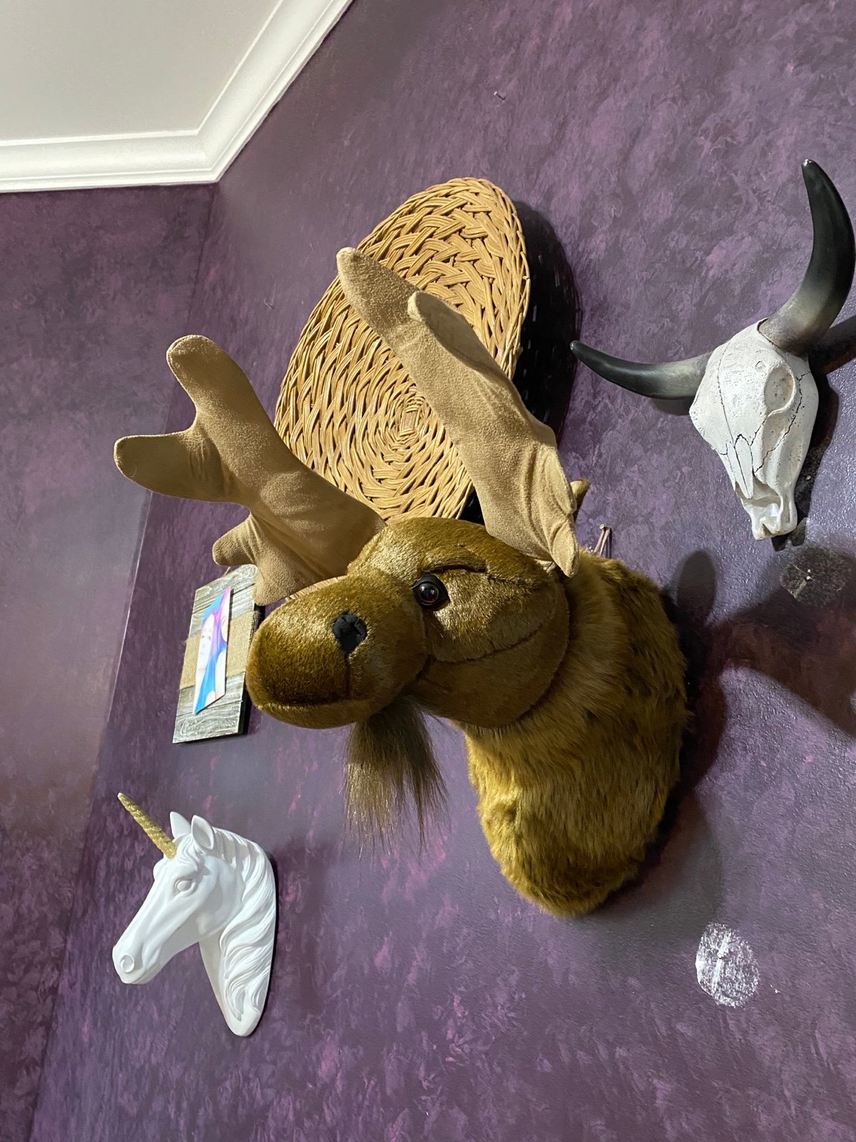 Ditz designs by the Hen House moose head wall mount