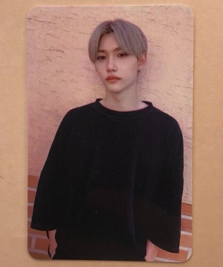 Stray Kids Felix GO LIVE Subk Photocard