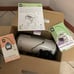 cricut machine