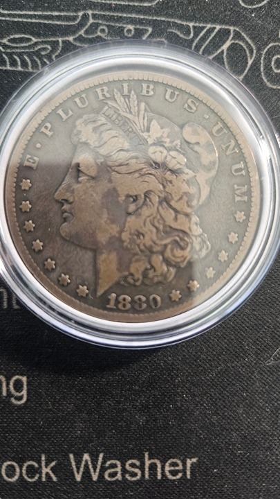 1880 S Morgan Dollars : Normal Date
