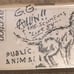 GG ALLIN & SCUMFUCS ‘Live 84’ SUICIDE SESSIONS’ Cassette