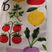 Kate spade veggies towel set 4pc Cotton NWT
