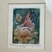 Fine Art Etching 'Dreaming Of You' Signed by Marina Terauds Fairy/Flowers Framed