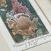 Fine Art Etching 'Dreaming Of You' Signed by Marina Terauds Fairy/Flowers Framed