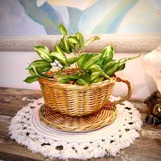 Vintage Wicker Teacup with Saucer shape Decorative Basket