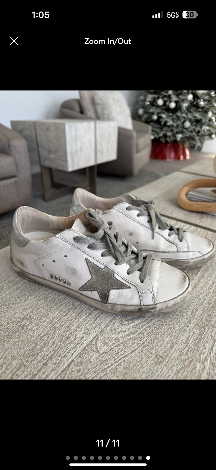 Golden Goose