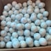 Titleist Pro V1 golf balls