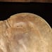 MacGregor G180H Catchers Mitt Glove