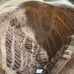 BelleTress wig stumptown