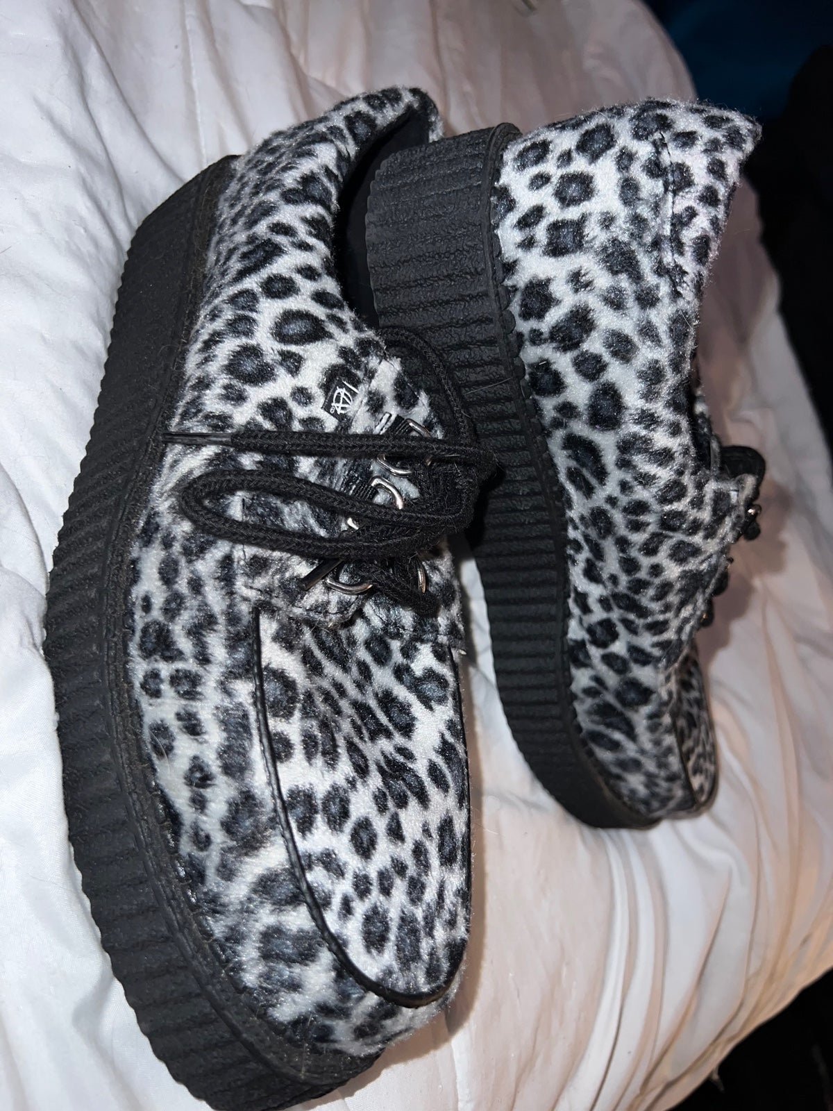 Anarchic leopard creepers by T.U.K