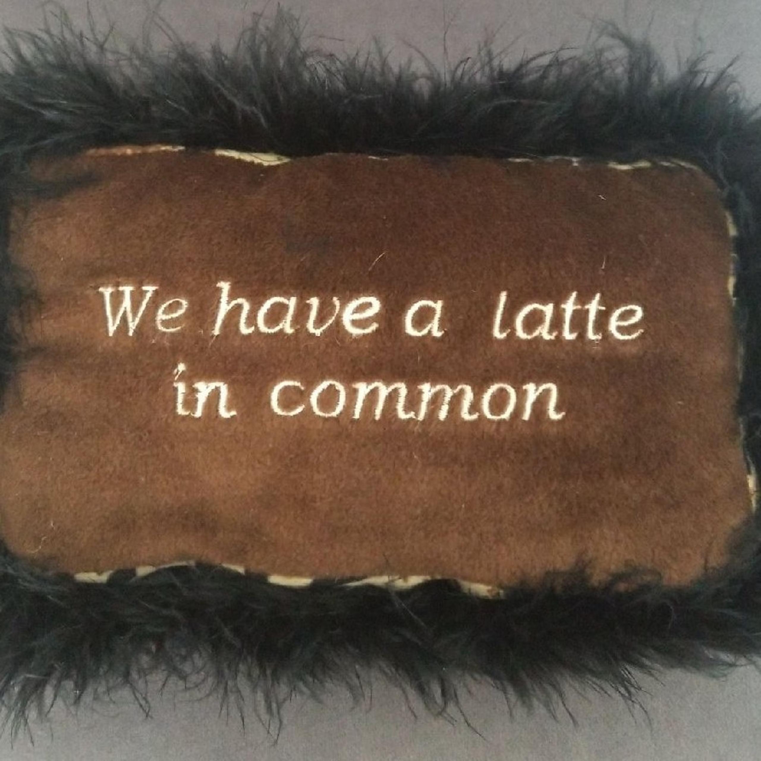 Small pillow. WE HAVE ALATTE IN COMMOM