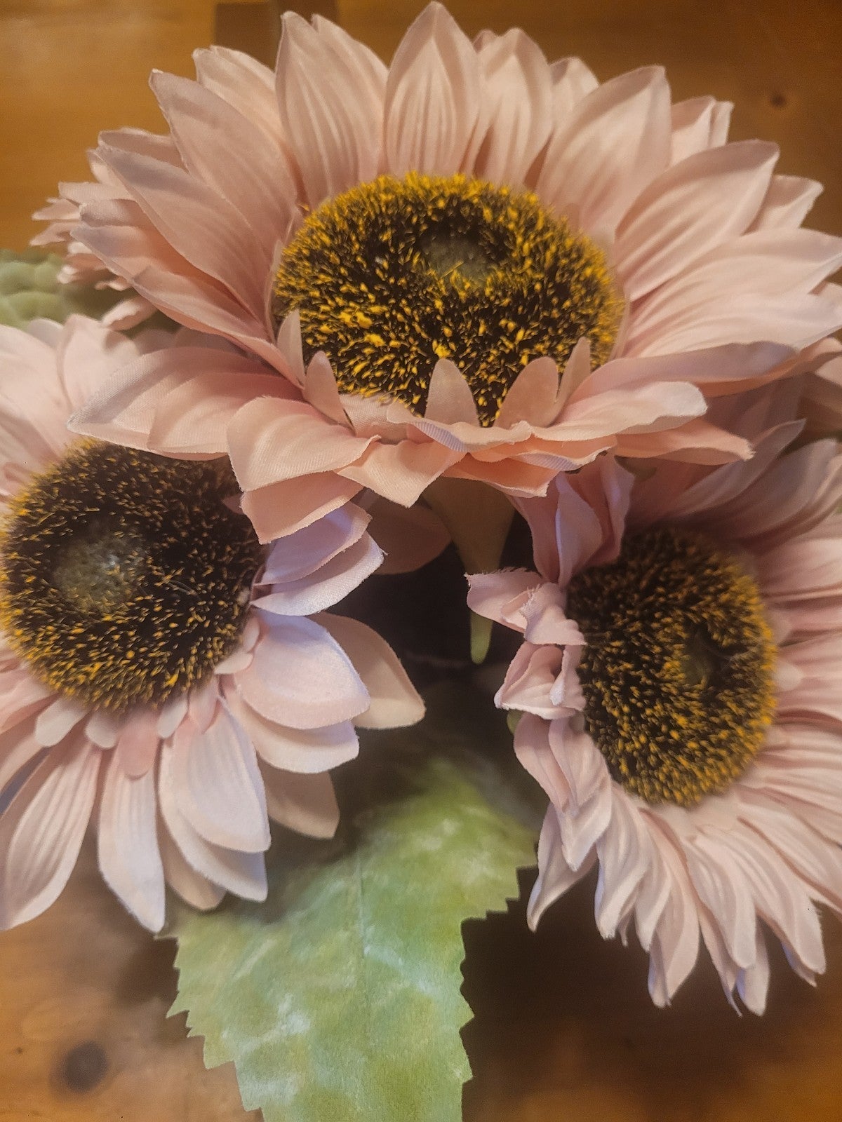 NWT Sunflower Arrangement