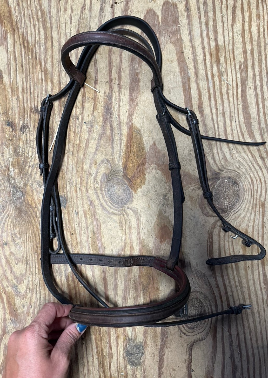 Brown horse sized bridle