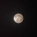 Buffalo nickel, pre war nickel, foreign coins