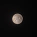 Buffalo nickel, pre war nickel, foreign coins