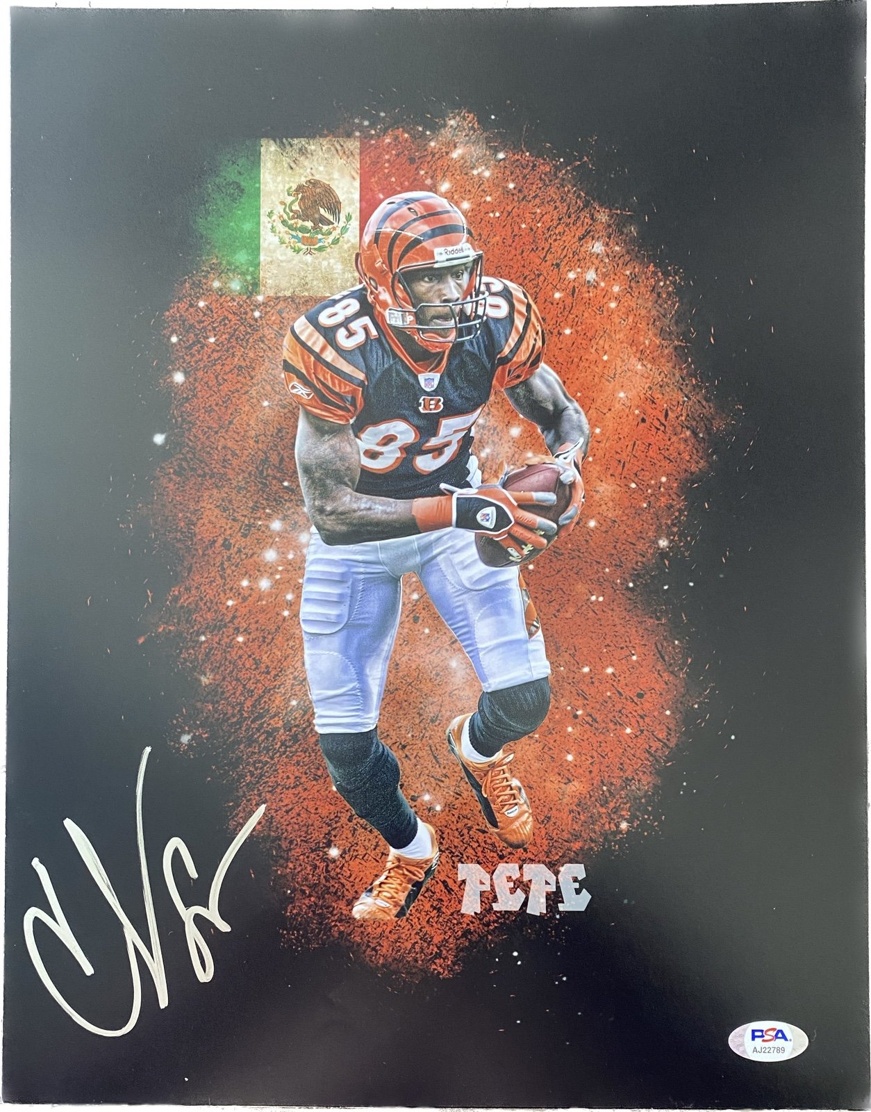 CHAD JOHNSON signed autograph 11x14 BENGALS OCHOCINCO PSA COA NFL FOOTBALL