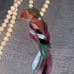 Women's Lee Sands White Beaded Necklace with Parrot Pendant