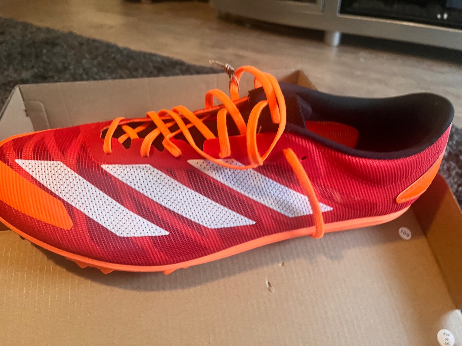 spikes for track