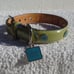 COACH GREEN PATENT LEATHER ROUND GROMMET DOG PET COLLAR EXTRA SMALL 8848