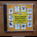 Christ-Centered Math Workbook and Lessons +Answer Key Level A