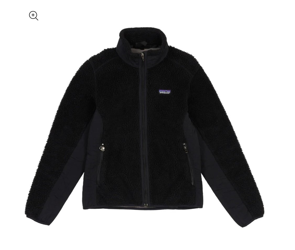 Patagonia retro x jacket