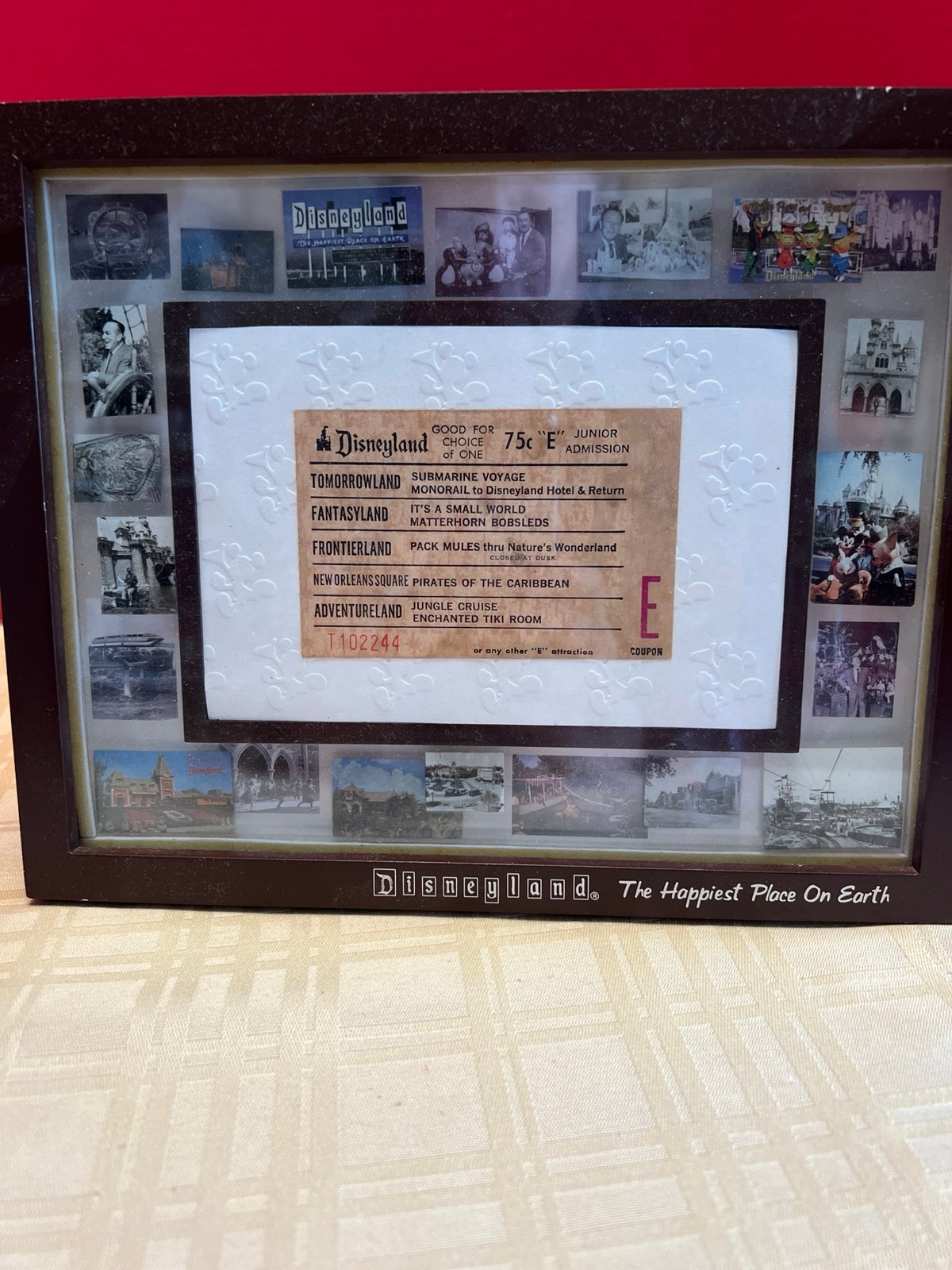 Vintage Framed Disneyland Ticket