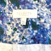 NWT Talbots Women's Sz 16W Blue Floral Skirt Cotton Lined Plus