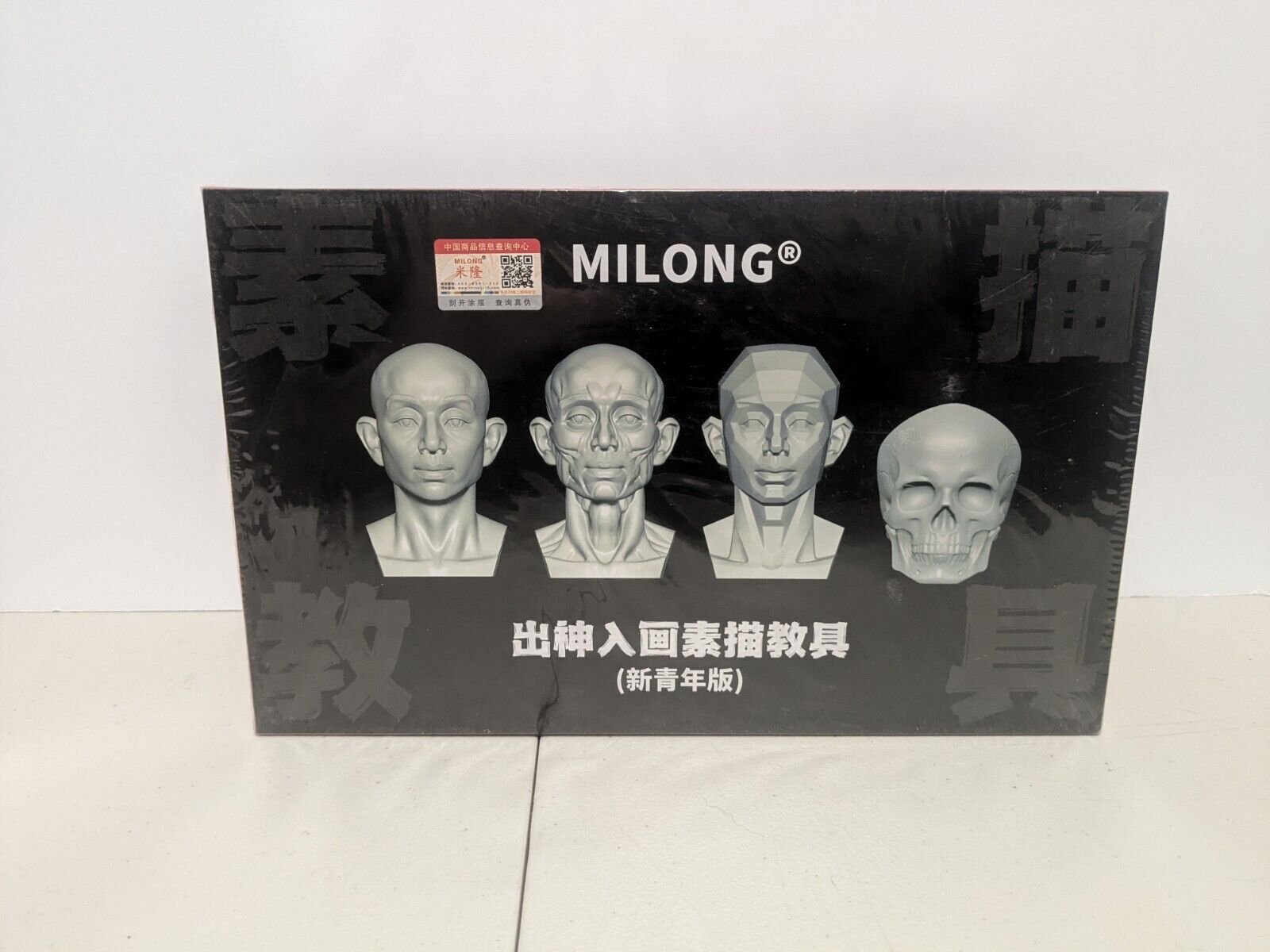 Sketch Reference Head Model Artist Sketching Drawing Training Tool New Male